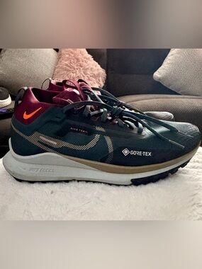 GORE-TEX Men Teal and Burgundy Trail Running Shoes
